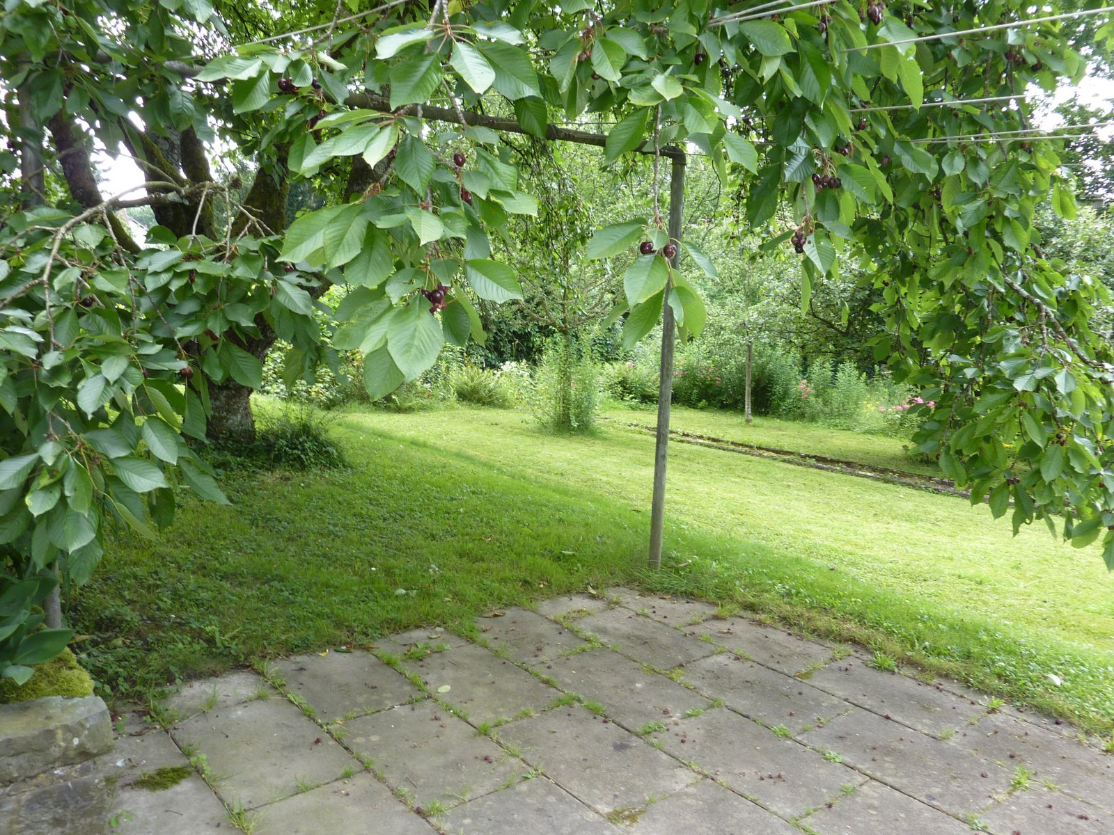 Dreifamilienhaus mit XXL-Garten!