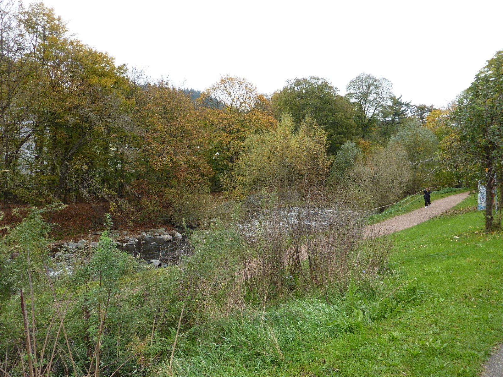 Stadtnah wohnen an der Dreisam !