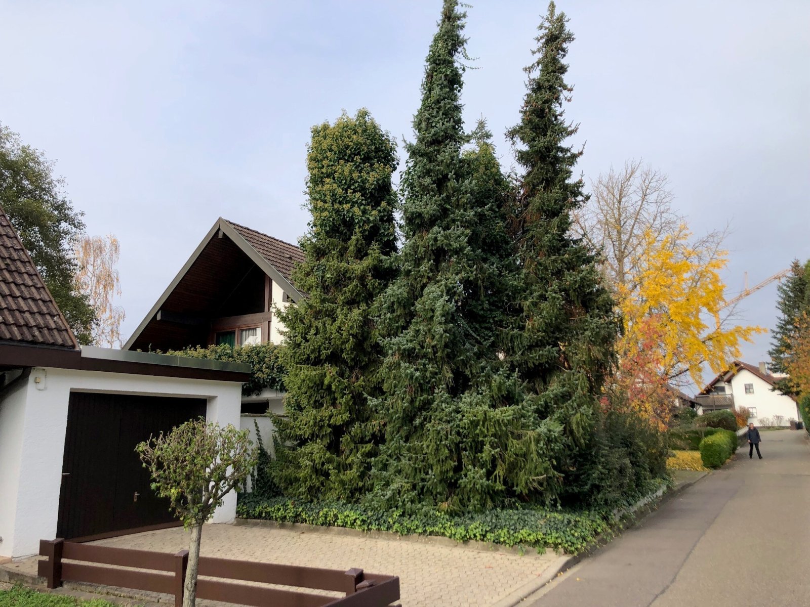 Freistehendes Einfam.-Haus in Bestlage!