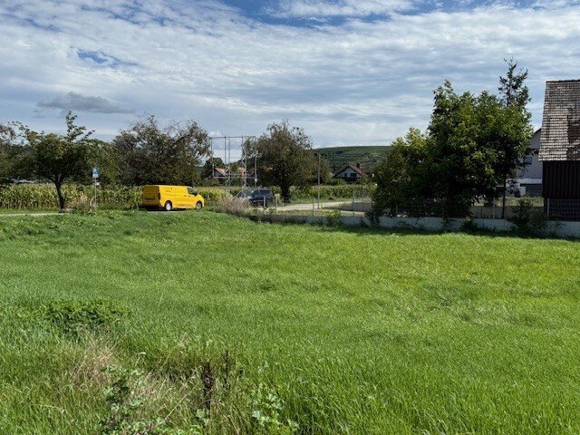 Projektierte, familienfreundliche DHH mit Dachterrasse