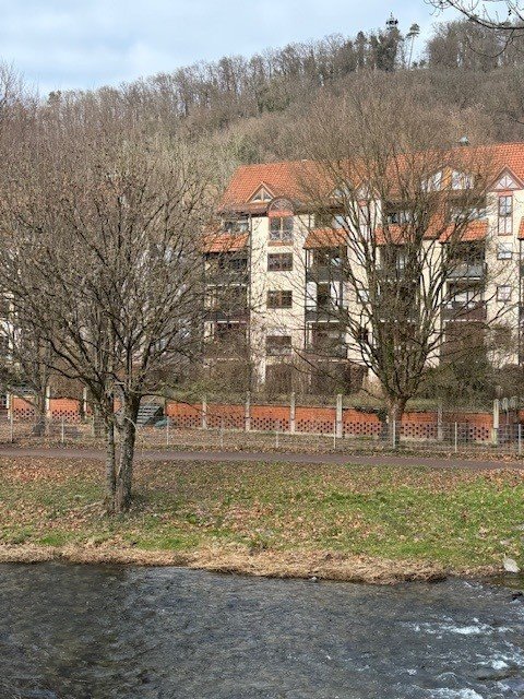 Wohnen mit Dreisam-Blick