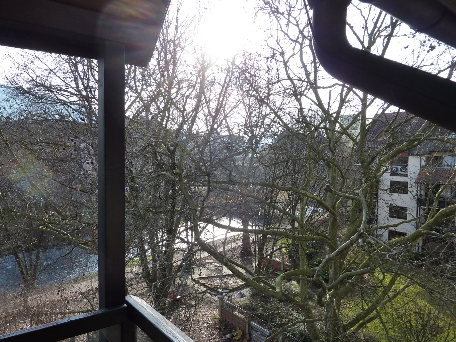 Wohnen mit Dreisam-Blick