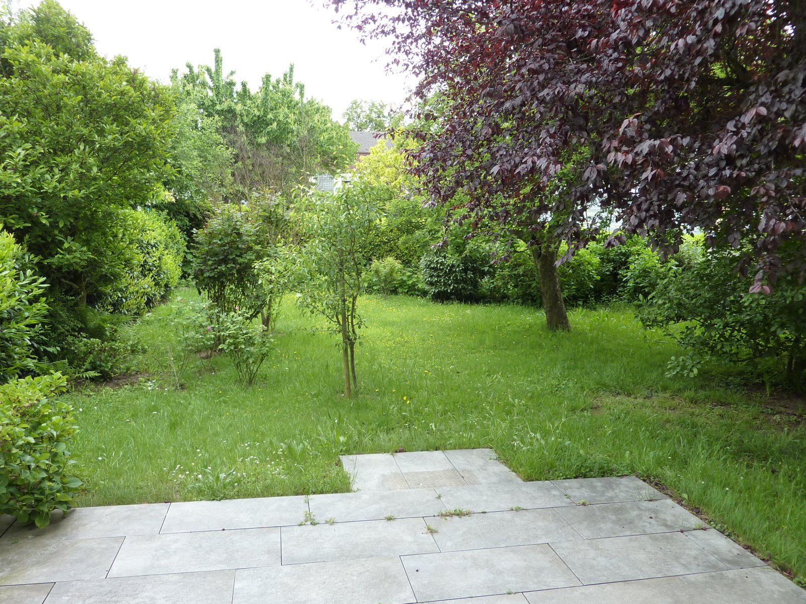 EG Garten EG Garten