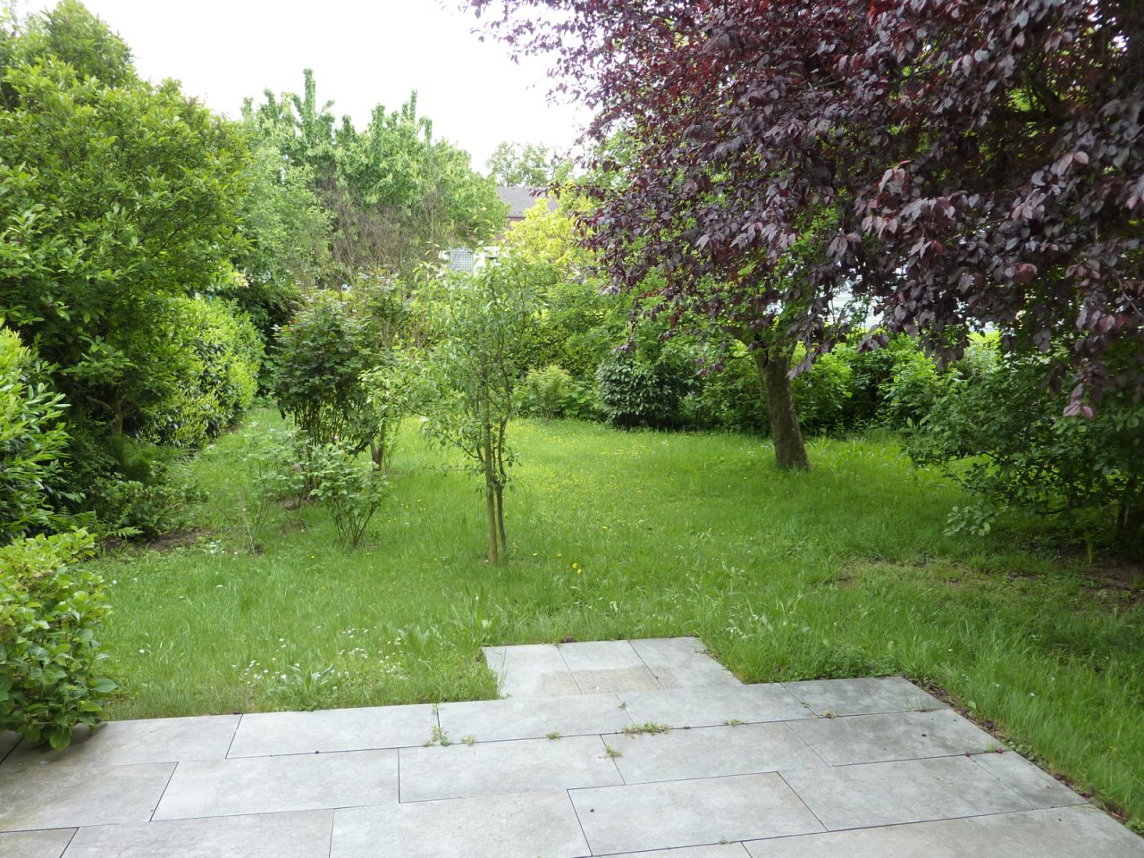 EG Garten EG Garten