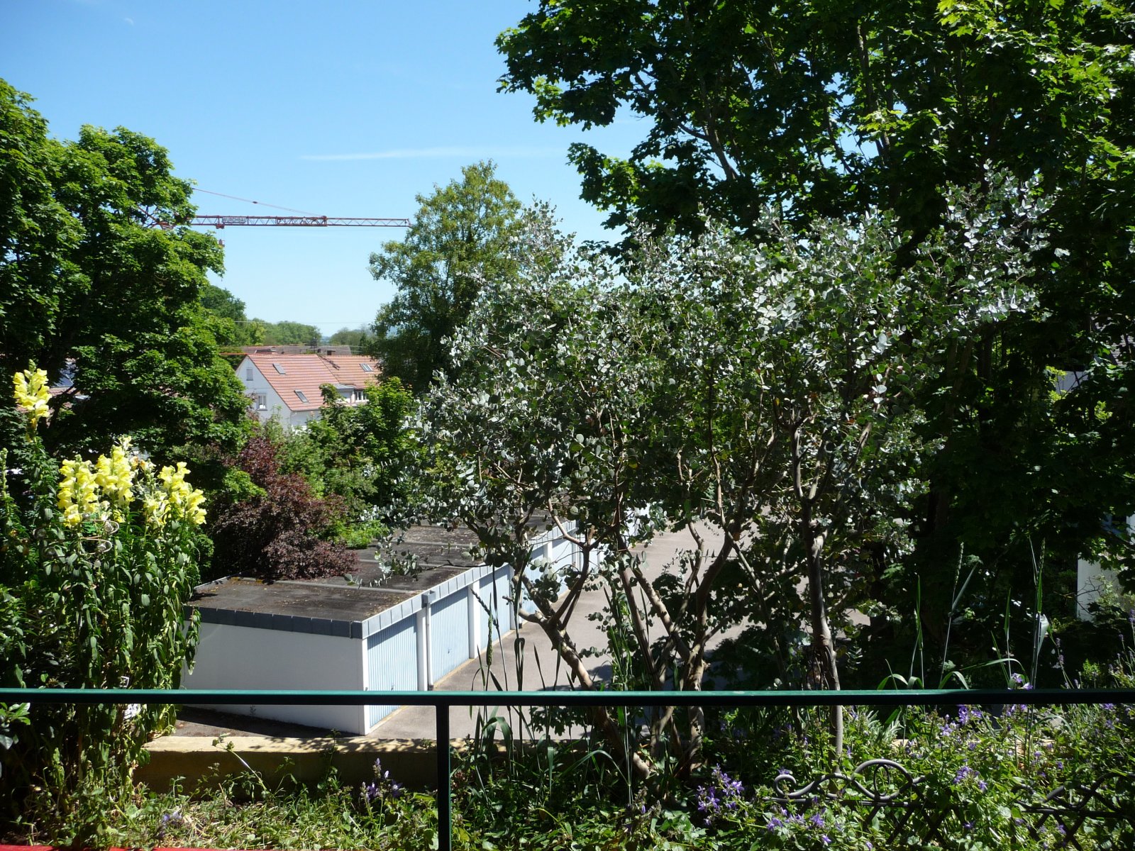 überdachter Ostbalkon überdachter Ostbalkon